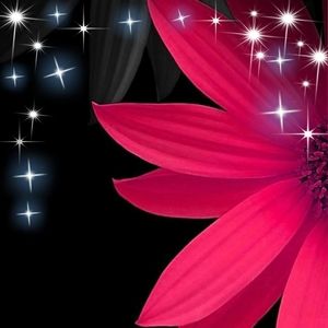 Meet your Posher, Debra